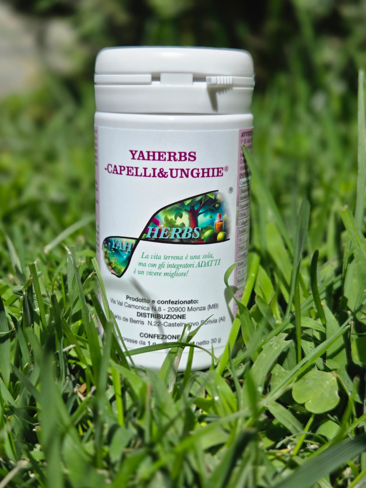 Yah Herbs è il punto di riferimento per chi cerca una vendita di integratori naturali per il benessere quotidiano a Milano, proponendo prodotti di alta qualità pensati per sostenere energia, vitalità ed equilibrio psicofisico. Ogni integratore nasce da ingredienti selezionati e da formulazioni studiate per rispondere alle esigenze di chi desidera uno stile di vita sano e naturale. La vendita di integratori naturali per il benessere quotidiano a Milano offerta da Yah Herbs comprende soluzioni per migliorare il sonno, rafforzare il sistema immunitario, sostenere la concentrazione, favorire la digestione e aumentare il tono generale dell’organismo. Grazie a un catalogo ricco e aggiornato, ogni cliente può trovare l’integratore più adatto ai propri obiettivi di salute e benessere. Yah Herbs è il punto di riferimento per chi cerca una vendita di integratori naturali per il benessere quotidiano a Milano, proponendo prodotti di alta qualità pensati per sostenere energia, vitalità ed equilibrio psicofisico. Ogni integratore nasce da ingredienti selezionati e da formulazioni studiate per rispondere alle esigenze di chi desidera uno stile di vita sano e naturale. La vendita di integratori naturali per il benessere quotidiano a Milano offerta da Yah Herbs comprende soluzioni per migliorare il sonno, rafforzare il sistema immunitario, sostenere la concentrazione, favorire la digestione e aumentare il tono generale dell’organismo. Grazie a un catalogo ricco e aggiornato, ogni cliente può trovare l’integratore più adatto ai propri obiettivi di salute e benessere. Vendita integratori naturali per benessere quotidiano a Milano