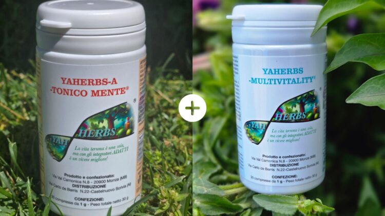 FOCUS & ENERGY PACK - Tonico Mente + Multivitality